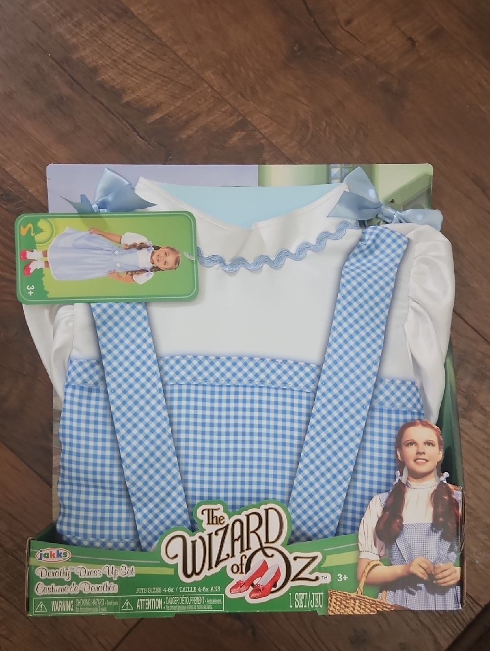 Dorothy Little Kids' Blue Gingham Costume Dress Set NWT